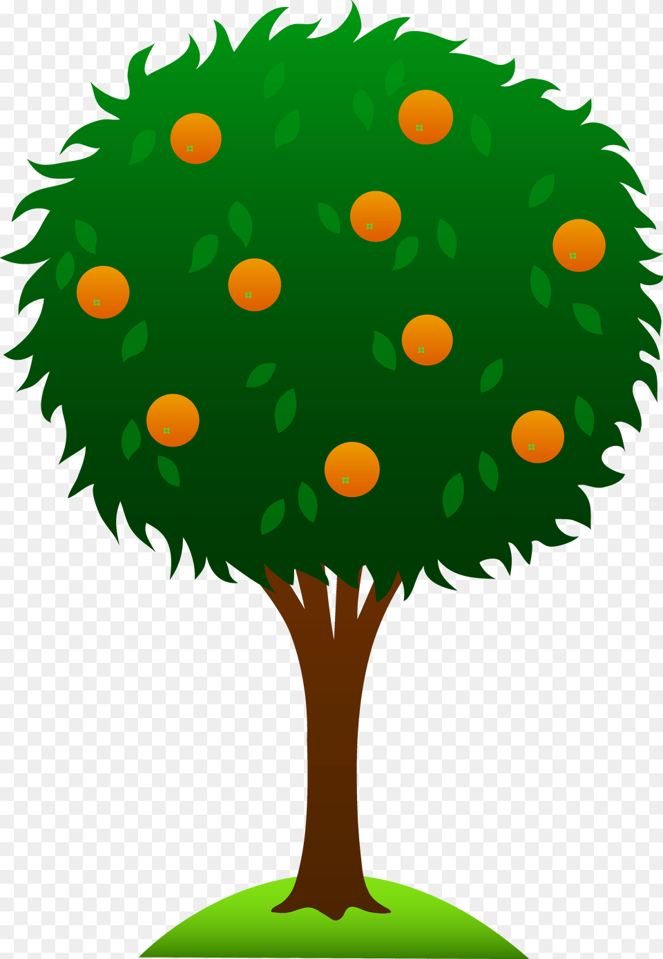 Sweet Orange Tree, Plant, Green, Vegetation, Animal Free Png Download