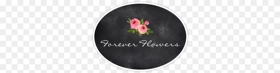 Sweet Pea, Flower, Plant, Rose, Blackboard Free Png