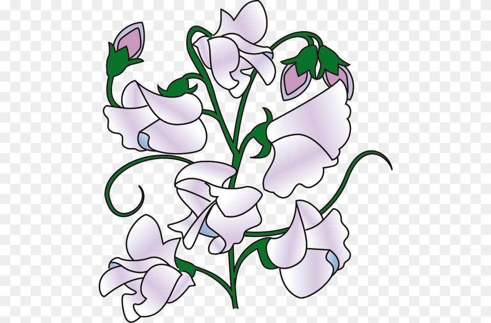 Sweet Pea Border Clipart Sweet Pea Flower Cartoon Cartoon Sweet Pea Flower, Art, Floral Design, Graphics, Pattern Png