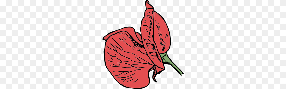 Sweet Pea Clip Art, Flower, Petal, Plant, Dynamite Free Transparent Png