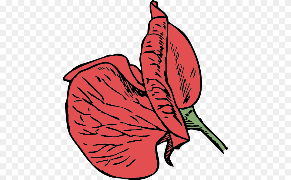 Sweet Pea Clip Art Vector, Flower, Petal, Plant, Baby Free Transparent Png