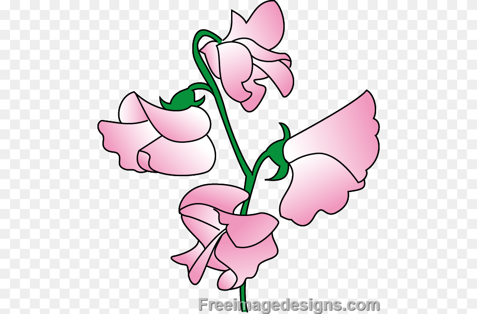 Sweet Pea Flower Tattoo Black And White, Petal, Plant, Art, Graphics Free Transparent Png
