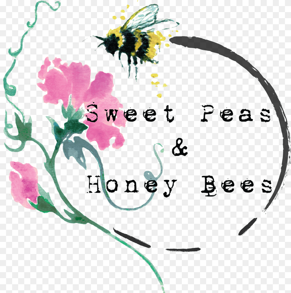 Sweet Peas Amp Honey Bees Honey Bee On A Sweet Pea, Animal, Insect, Flower, Invertebrate Free Png Download