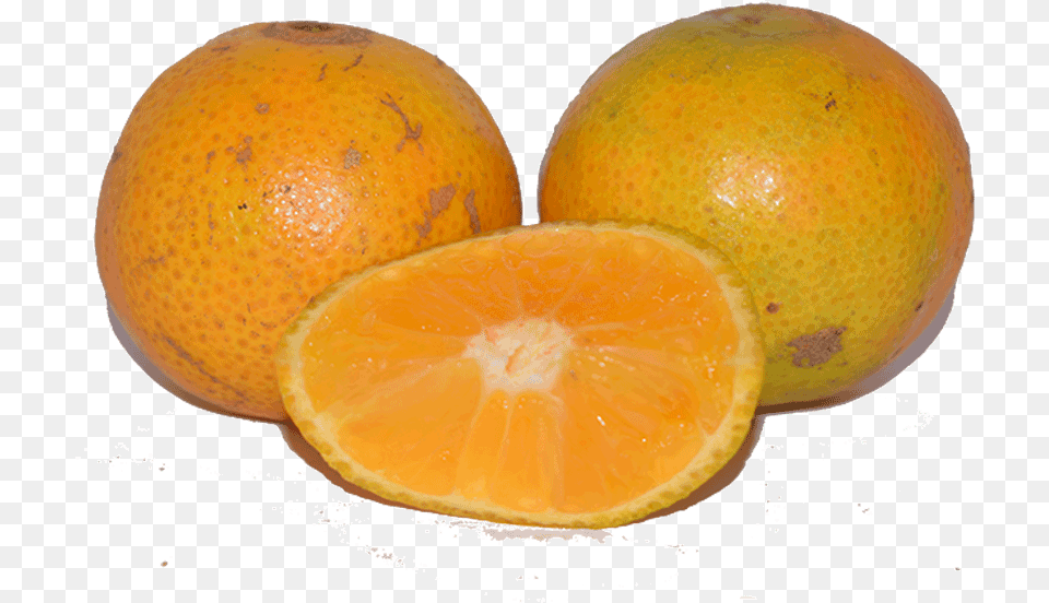 Sweet Pixie Oranges Valencia Orange, Citrus Fruit, Food, Fruit, Grapefruit Free Png