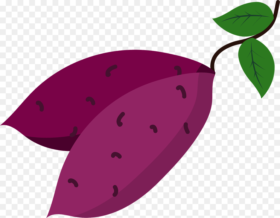 Sweet Potato Clipart, Leaf, Plant, Food, Fruit Free Png Download