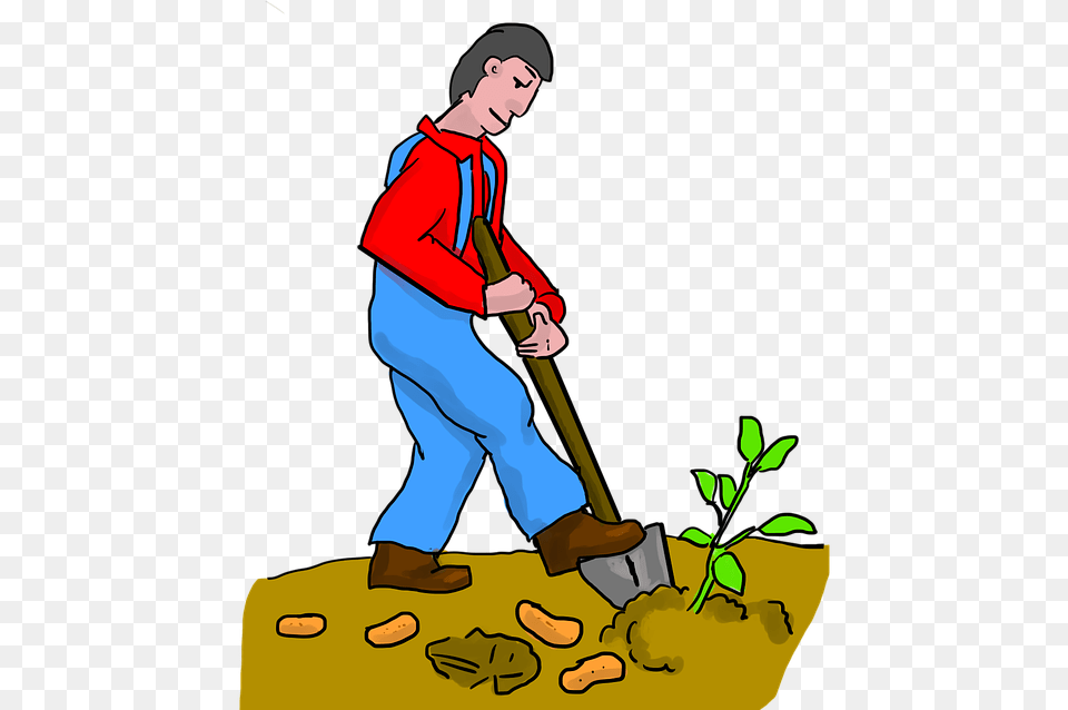 Sweet Potato Digging Dig Potato Potatoes Farmer Dig, Garden, Nature, Outdoors, Gardening Free Png Download