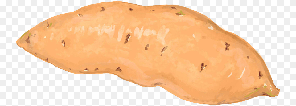 Sweet Potato Food Sweet Potato, Plant, Produce, Sweet Potato, Vegetable Free Transparent Png