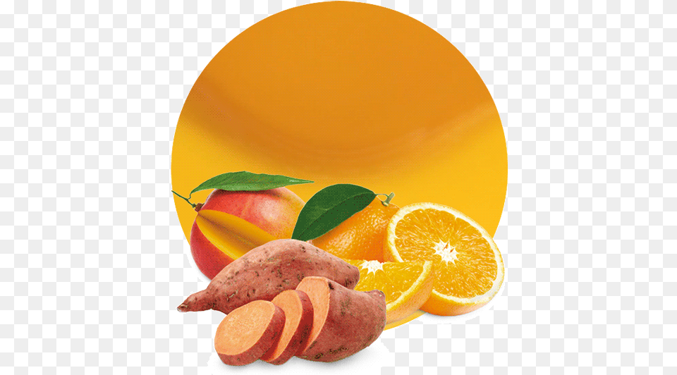 Sweet Potato Valencia Orange, Food, Produce, Citrus Fruit, Fruit Png