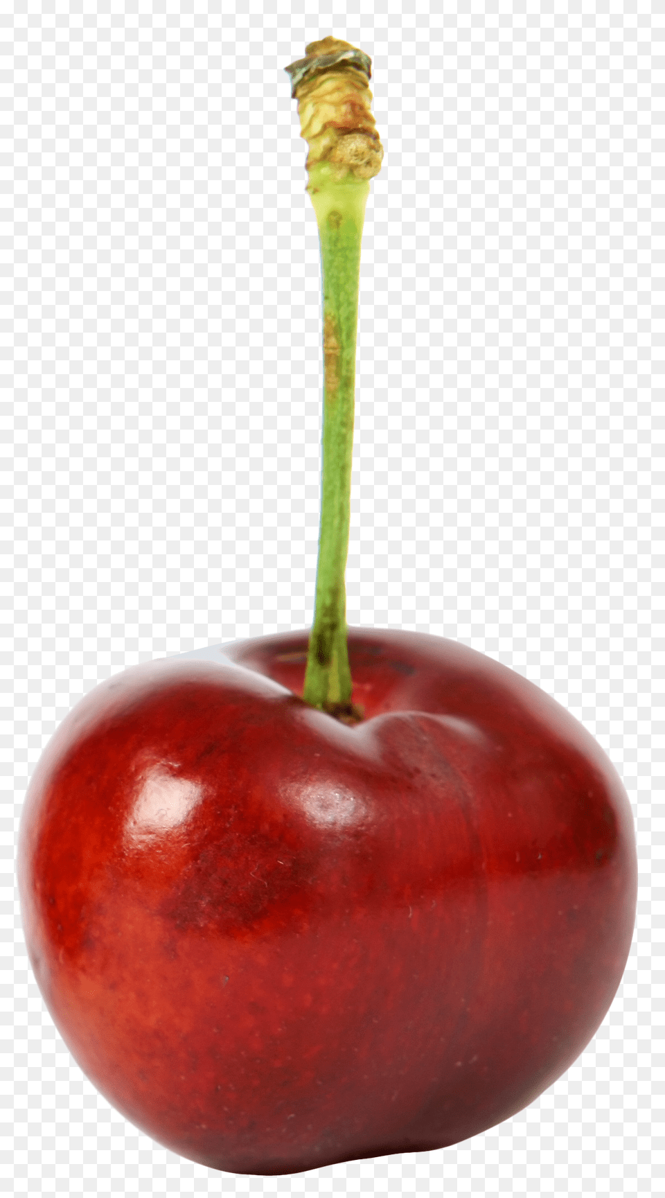Sweet Ripe Cherry Image, Food, Fruit, Plant, Produce Free Transparent Png