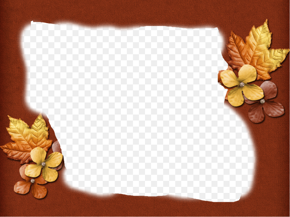 Sweet Shimas Raised By 18 Little Grandmothers With Autumn Frames, Leaf, Plant, Home Decor, Cushion Free Transparent Png