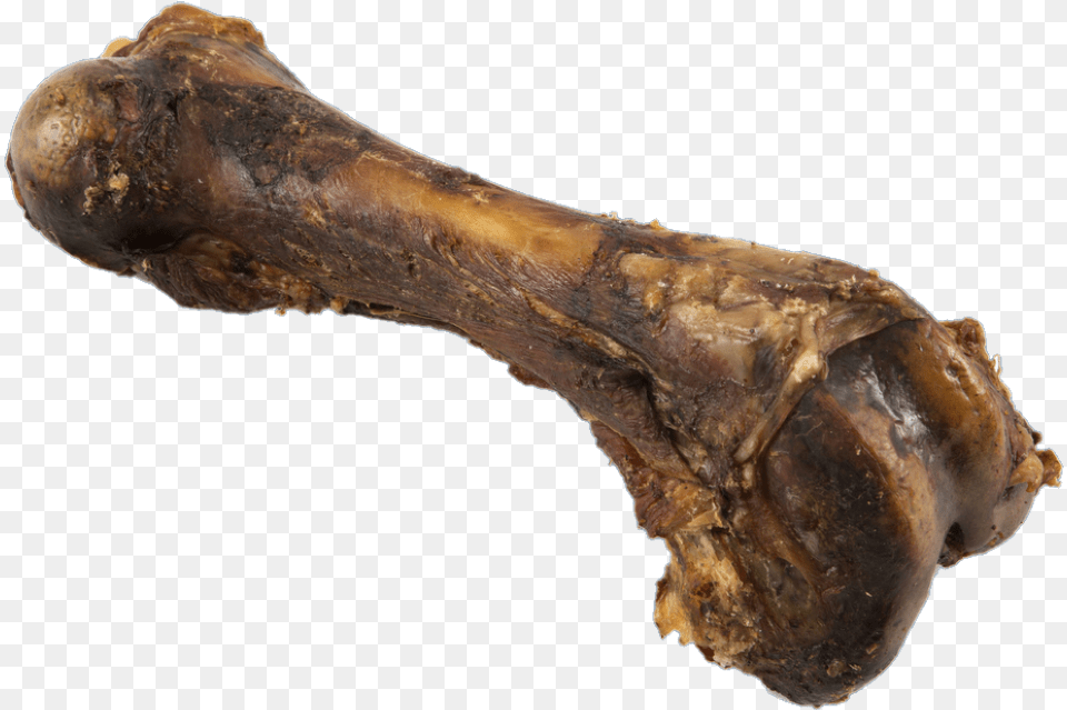 Sweetgrass Pork Femur Lamb And Mutton, Food, Meat, Animal, Insect Png Image