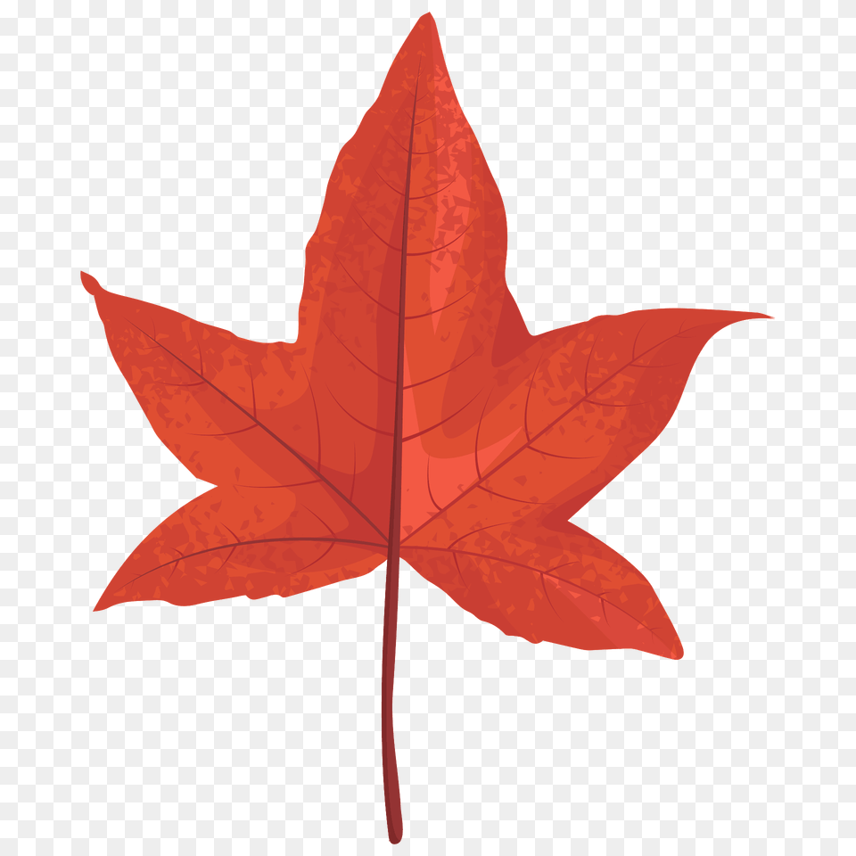 Sweetgum Red Leaf Clipart, Plant, Tree, Maple Leaf, Maple Png