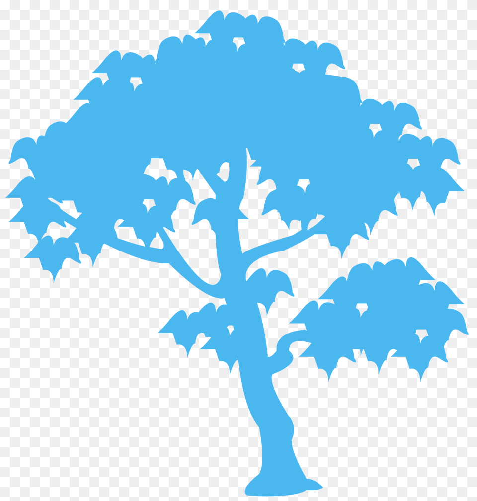 Sweetgum Silhouette, Oak, Plant, Sycamore, Tree Free Png