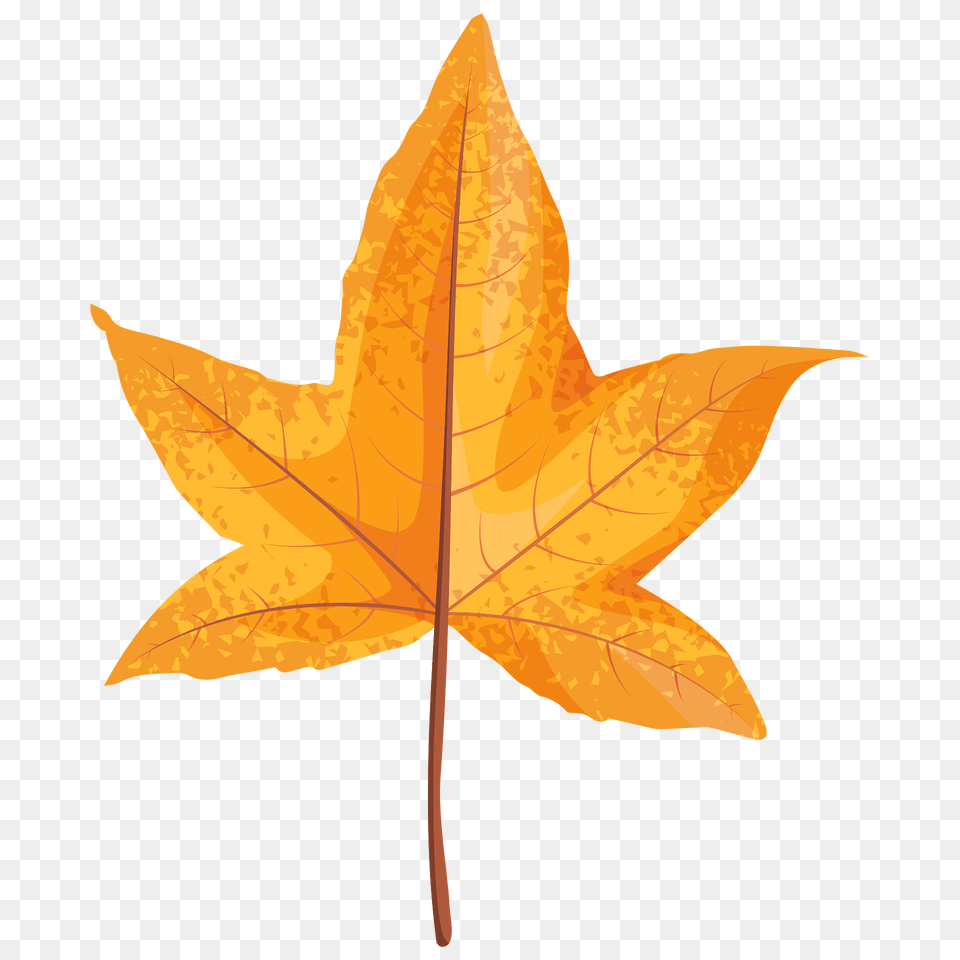 Sweetgum Yellow Leaf Clipart, Plant, Tree, Maple Leaf, Maple Free Transparent Png