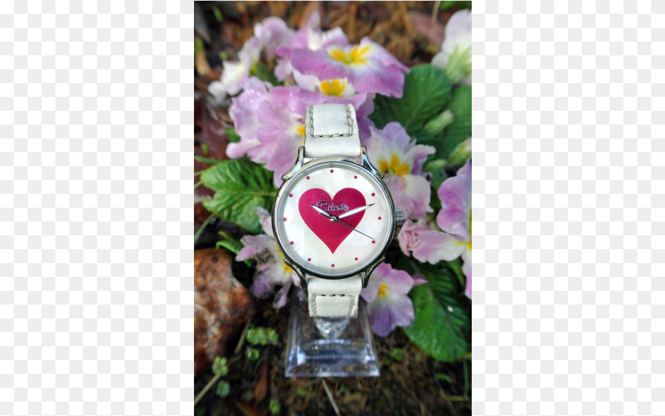 Sweetheart Love Watch Glass Bottle, Flower, Geranium, Petal, Plant Free Transparent Png