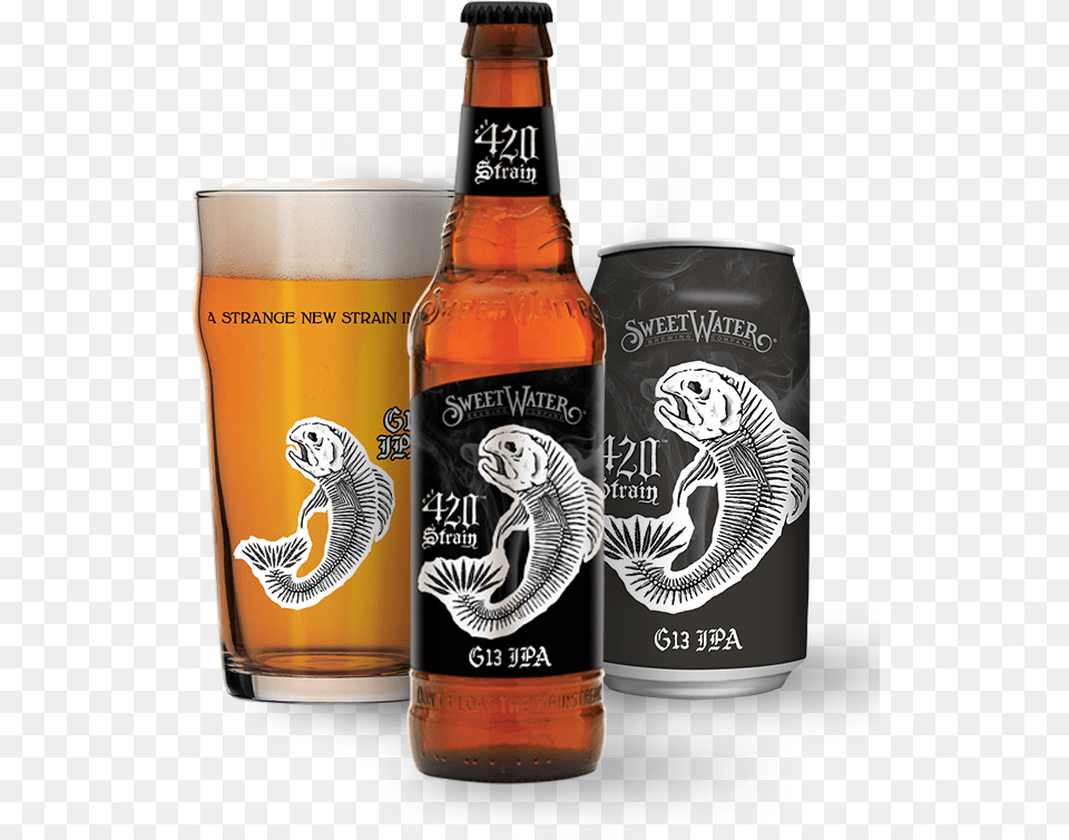 Sweetwater Brews 420 Strain G13 Ipa, Alcohol, Beer, Beverage, Glass Png Image