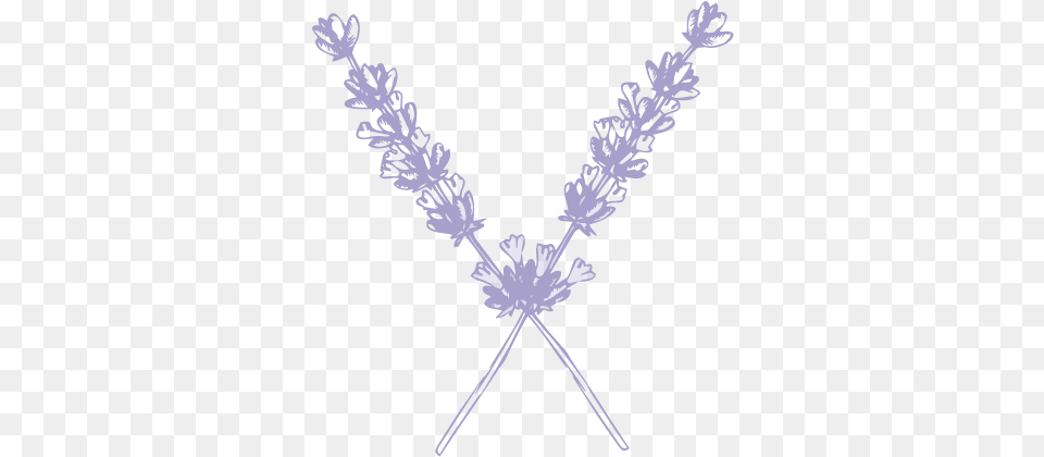 Sweetwater Floral Wedding Flowers, Accessories, Jewelry, Necklace, Stencil Free Png