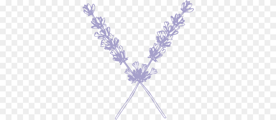Sweetwater Submark Lavender Portable Network Graphics, Accessories, Jewelry, Necklace, Stencil Free Transparent Png