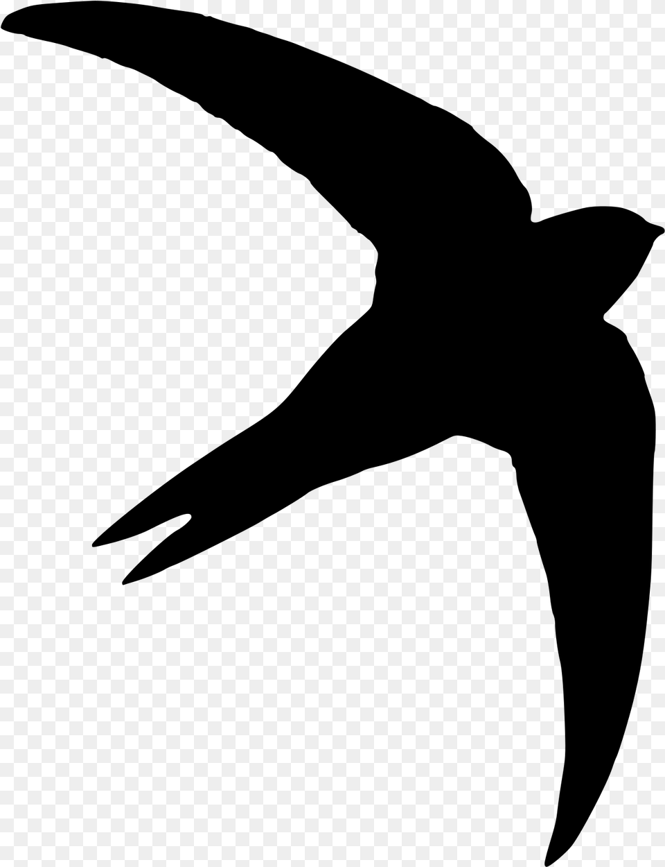 Swift Bird Swift Silhouette, Gray Png Image