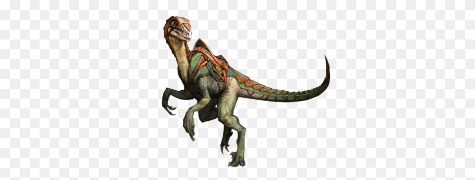 Swift Claw, Animal, Dinosaur, Reptile, T-rex Png Image