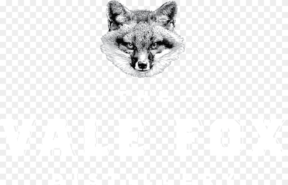 Swift Fox, Advertisement, Poster, Animal, Cat Free Transparent Png