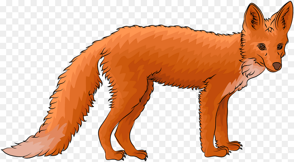 Swift Fox, Animal, Canine, Mammal, Red Fox Png Image