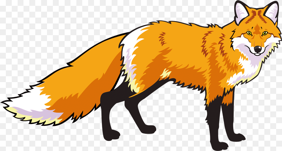 Swift Fox Red Fox Standing, Animal, Red Fox, Wildlife, Mammal Png