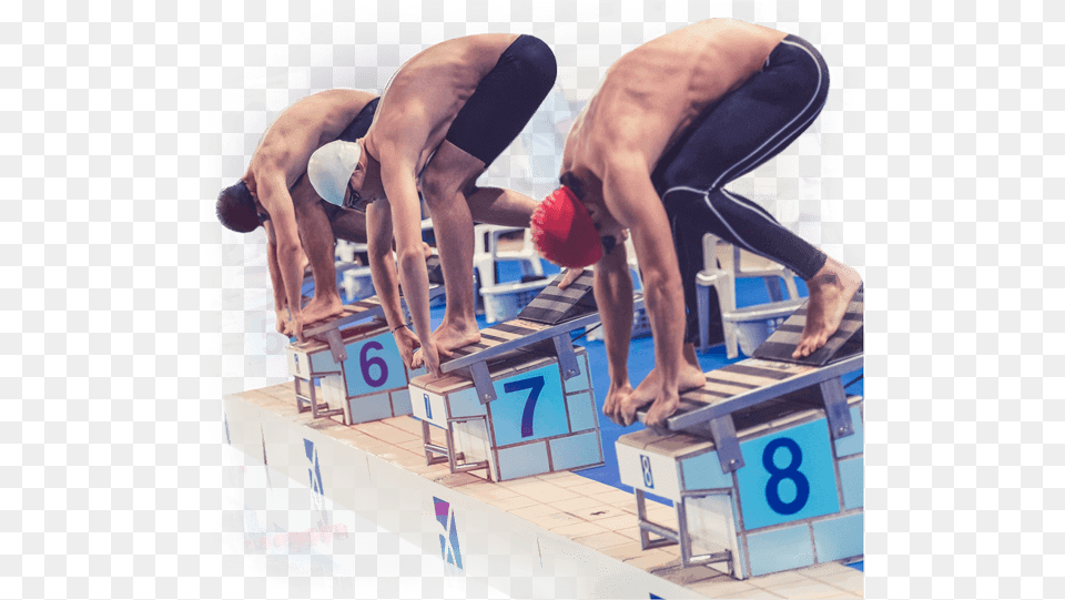 Swim Meet Management2 Running Start In Swimming, Water, Adult, Sport, Person Png Image