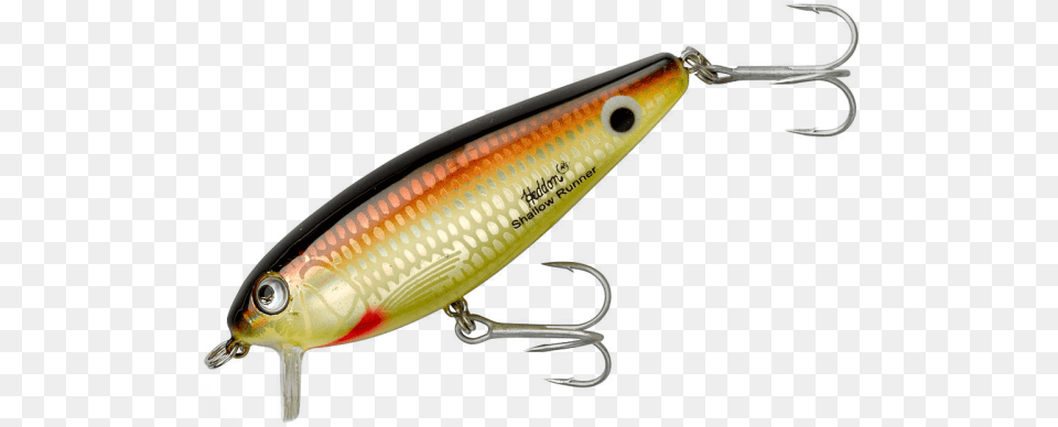 Swim N Image Lure Heddon, Electronics, Hardware, Fishing Lure Free Png Download