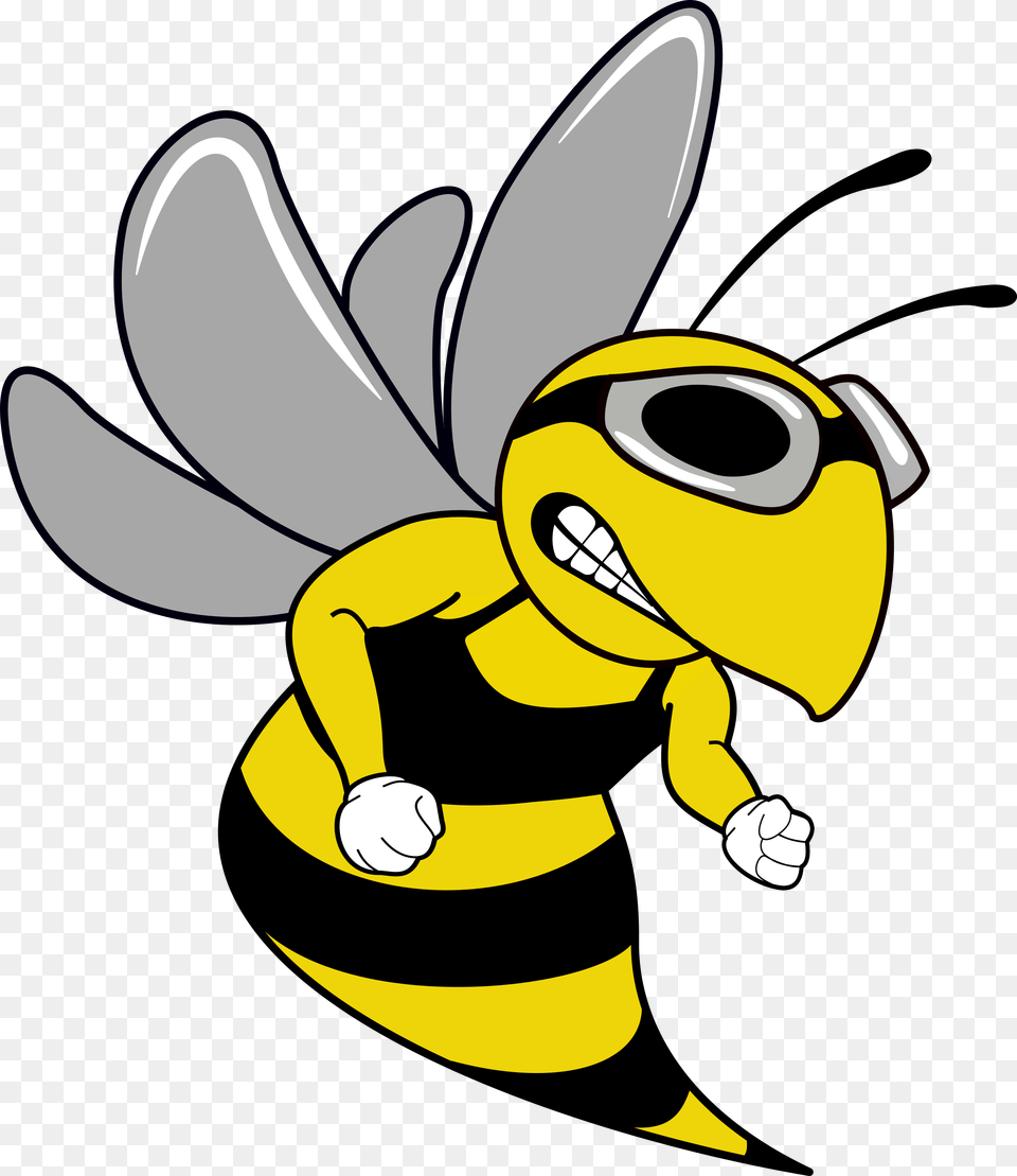 Swim Team Hornet Mascot, Animal, Bee, Insect, Invertebrate Free Png