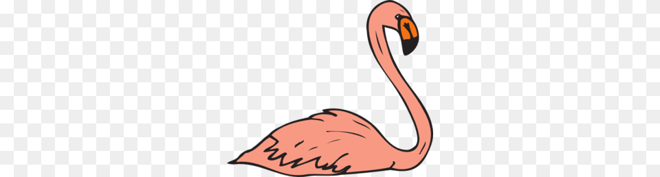 Swimming Flamingo Clip Art, Animal, Beak, Bird Free Png Download