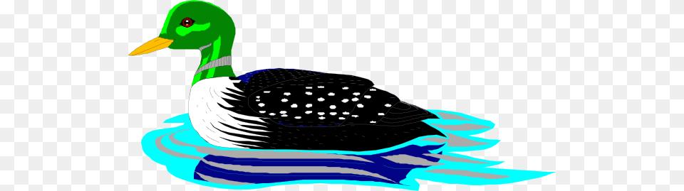 Swimming Loon Clip Art, Animal, Anseriformes, Bird, Waterfowl Free Transparent Png