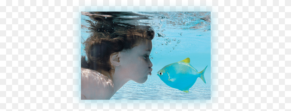 Swimming Pool Water Treatment And Swimming In The Ocean Kids, Aquatic, Person, Fish, Sea Life Png