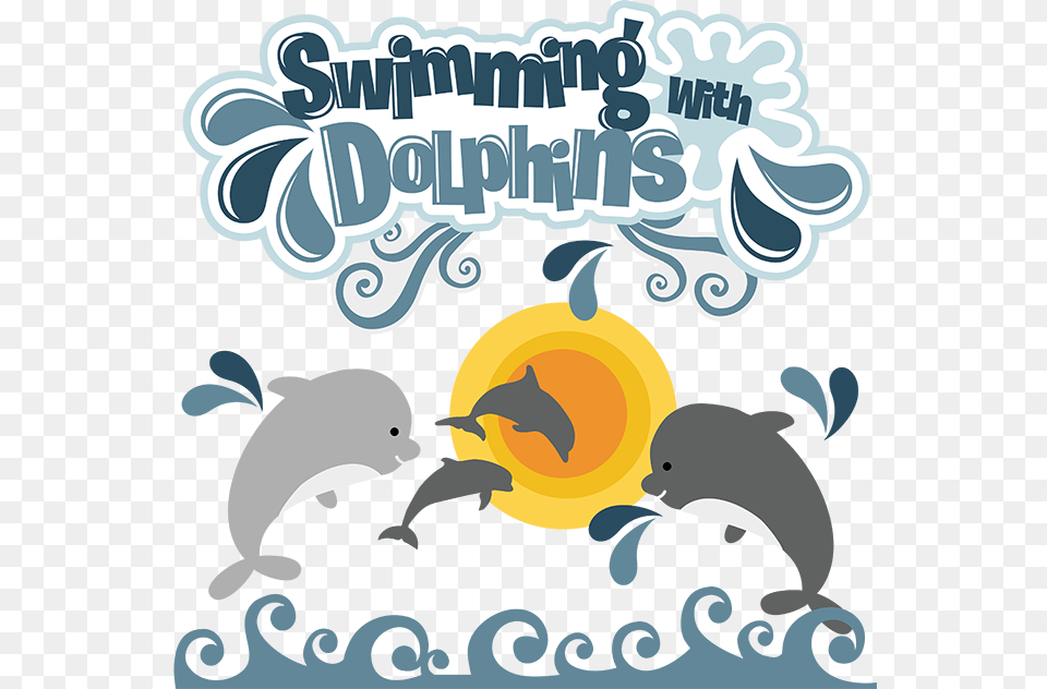 Swimming With Dolphins Svg Dolphin Svg File Dolphin Swim With Dolphins Gift Voucher, Advertisement, Art, Graphics, Poster Png Image