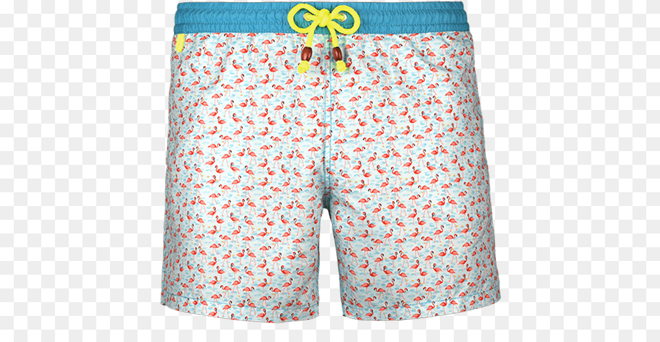 Swimsuit, Clothing, Shorts, Swimming Trunks, Skirt Free Png Download