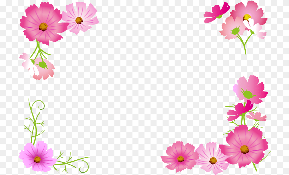 Swirl Border, Art, Daisy, Floral Design, Flower Png Image