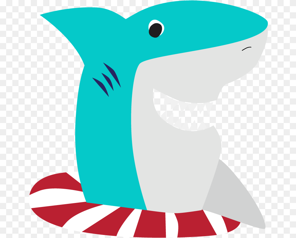 Swish The Bull Shark, Animal, Fish, Sea Life Free Png Download