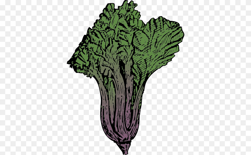 Swiss Chard Clip Art, Food, Produce, Kale, Leafy Green Vegetable Free Png Download