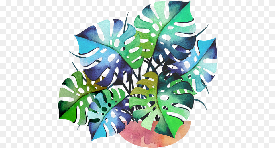 Swiss Cheese Plant Art, Leaf, Baby, Person, Pattern Free Png