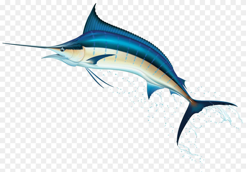 Swordfish Clip Art, Animal, Sea Life, Fish Png