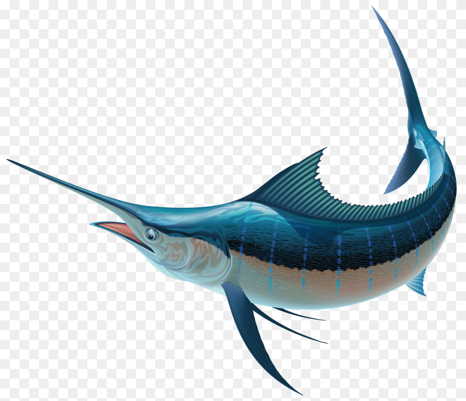 Swordfish Clipart, Animal, Sea Life, Fish, Shark Png