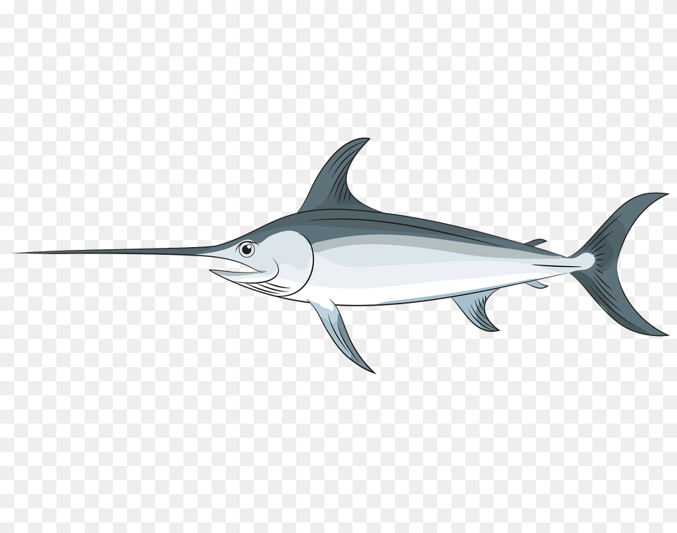 Swordfish Clipart, Animal, Sea Life, Fish, Shark Png Image