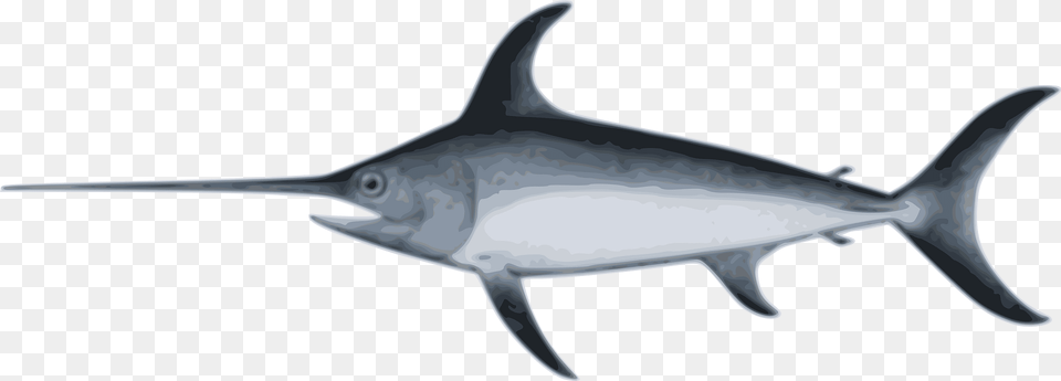 Swordfish Clipart, Animal, Sea Life, Fish, Shark Png Image