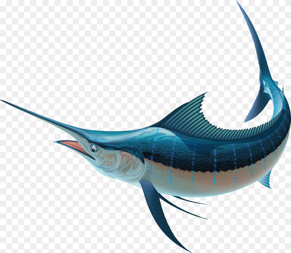 Swordfish Recreational Fishing Sailfish Clip Art Sword Fish, Animal, Sea Life, Shark Free Png Download