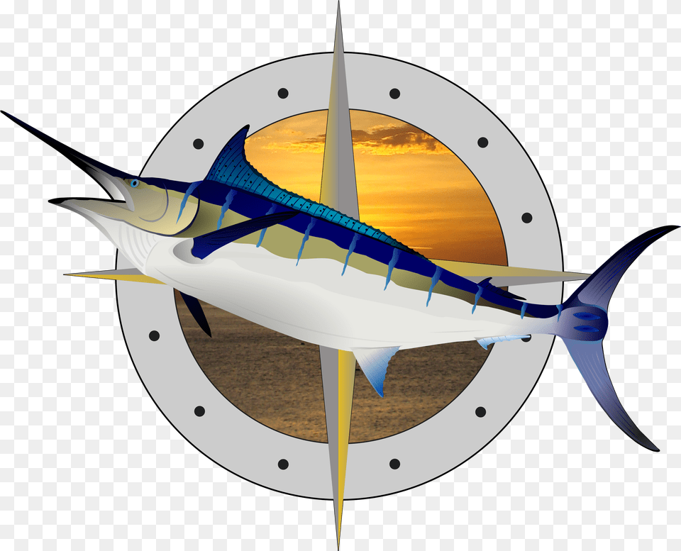 Swordfish Reflection Products From Fish Illustration, Animal, Sea Life, Shark Free Png Download