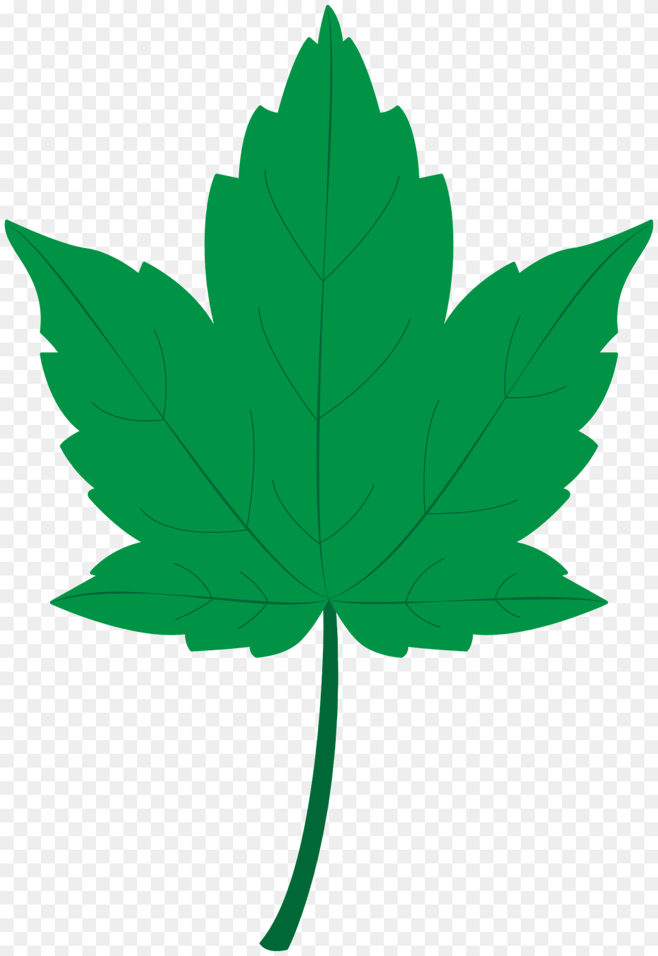 Sycamore Leaf Clipart, Plant, Tree, Maple Leaf Png