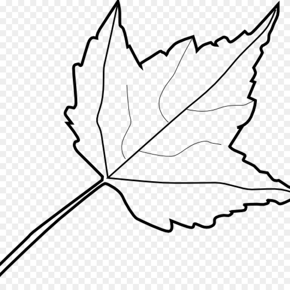 Sycamore Leaf Outline Printable, Gray Free Png Download