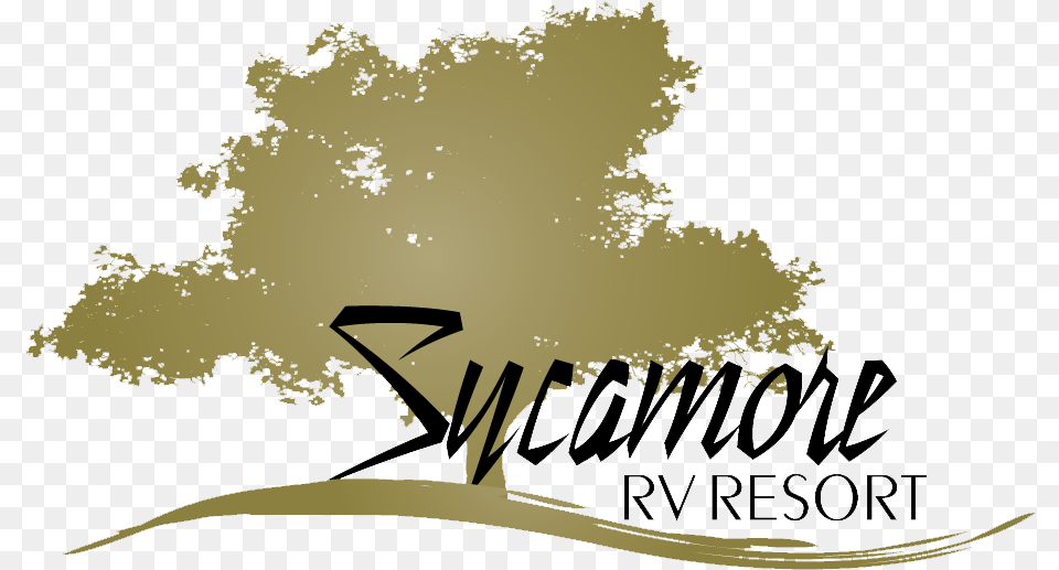 Sycamore Rv Resort Resort, Tree, Plant, Vegetation, Text Free Transparent Png