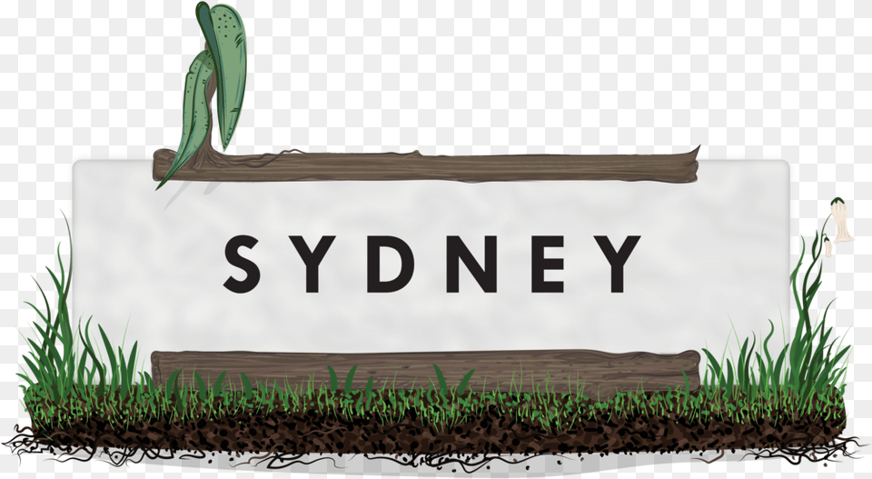 Sydney Grass Landscape Sweet Grass, Plant, Animal Free Png Download