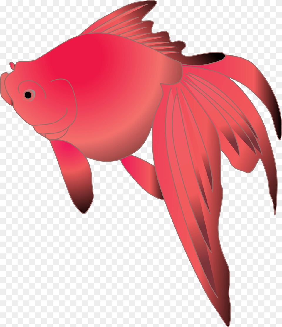 Symbol Clipart, Animal, Fish, Sea Life, Goldfish Free Png Download